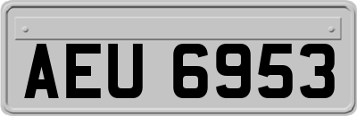 AEU6953