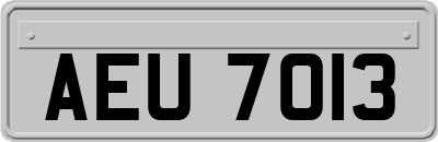 AEU7013