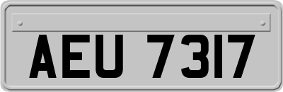 AEU7317