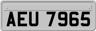 AEU7965