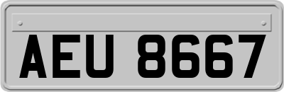 AEU8667