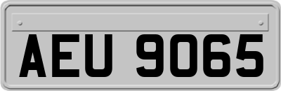 AEU9065
