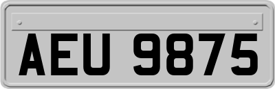 AEU9875