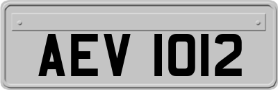 AEV1012