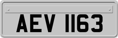 AEV1163
