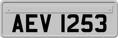 AEV1253