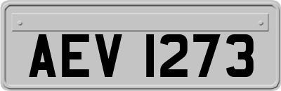 AEV1273