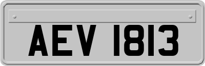 AEV1813