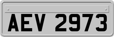 AEV2973