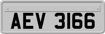 AEV3166