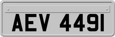 AEV4491