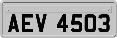 AEV4503