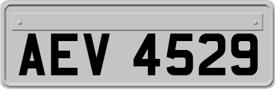 AEV4529