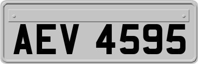 AEV4595