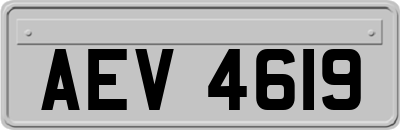 AEV4619