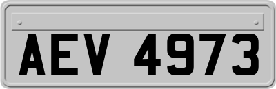 AEV4973