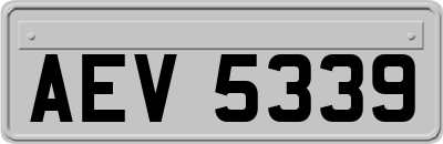AEV5339