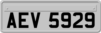 AEV5929