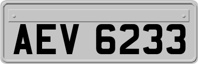AEV6233