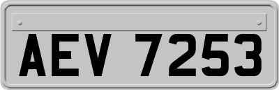 AEV7253