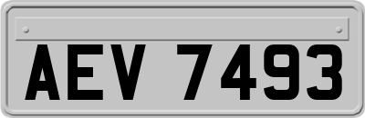 AEV7493