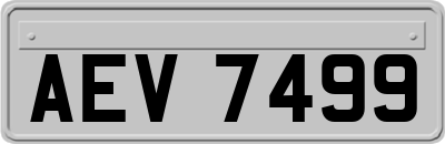 AEV7499