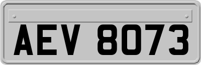 AEV8073