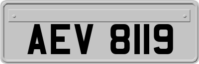 AEV8119