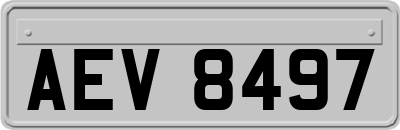 AEV8497