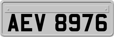 AEV8976