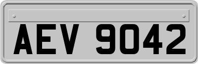 AEV9042