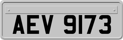 AEV9173