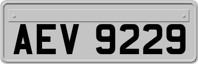 AEV9229