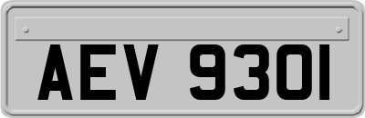 AEV9301