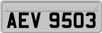 AEV9503