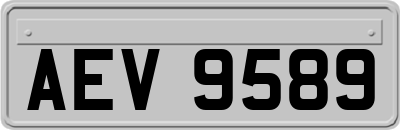 AEV9589