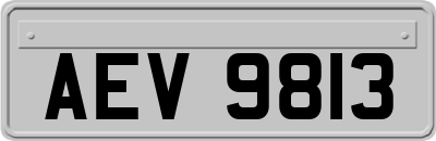 AEV9813