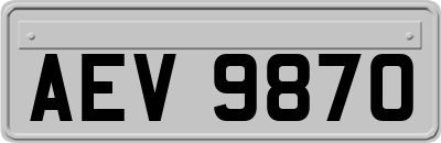 AEV9870
