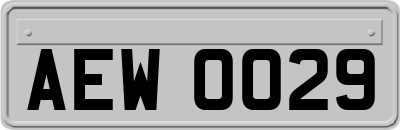 AEW0029