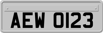 AEW0123