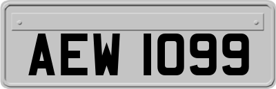 AEW1099