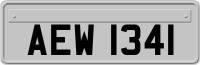AEW1341