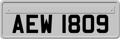 AEW1809