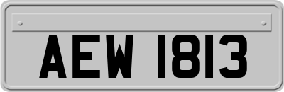 AEW1813