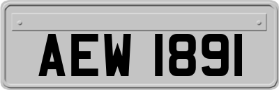 AEW1891