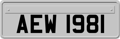 AEW1981