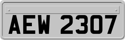 AEW2307