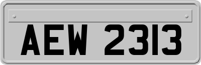 AEW2313