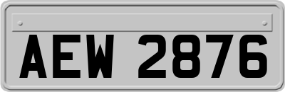 AEW2876