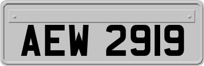 AEW2919
